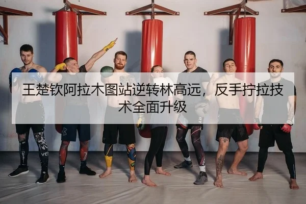 wang-chu-qin-a-la-mu-tu-zhan-ni-zhuan-lin-gao-yuan-fan-shou-ning-la-ji-shu-quan-mian-sheng-ji-2-956.jpg